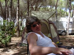 bild 245